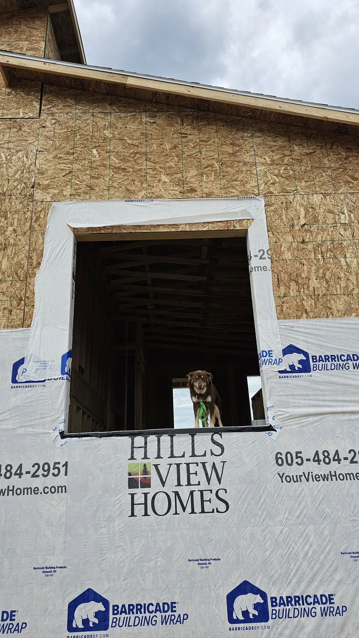 New construction window installation detail